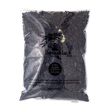Bonsai Jack Lava Rock Additive for Cacti and Plants