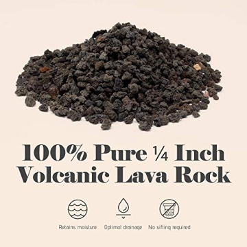 Bonsai Jack Lava Rock Additive for Cacti and Plants