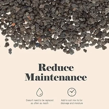 Bonsai Jack Lava Rock Additive for Cacti and Plants