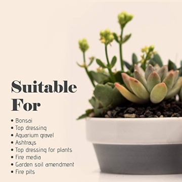 Bonsai Jack Lava Rock Additive for Cacti and Plants