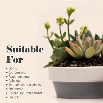 Bonsai Jack Lava Rock Additive for Cacti and Plants