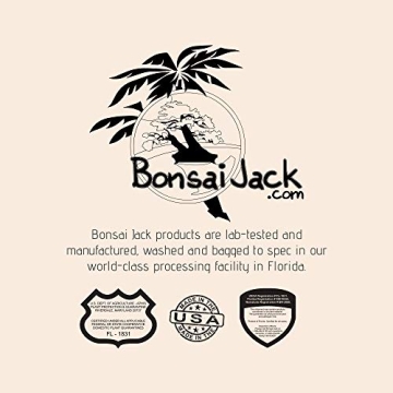 Bonsai Jack Lava Rock Additive for Cacti and Plants