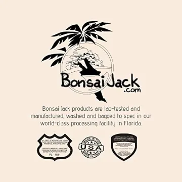 Bonsai Jack Lava Rock Additive for Cacti and Plants