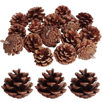 SBYURE Natural Pinecones 20 Pack for Crafts Home Decor