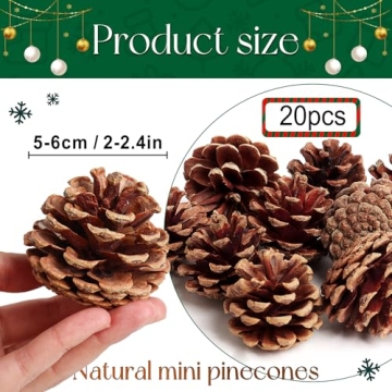SBYURE Natural Pinecones 20 Pack for Crafts Home Decor