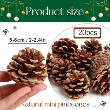 SBYURE Natural Pinecones 20 Pack for Crafts Home Decor