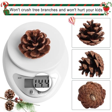 SBYURE Natural Pinecones 20 Pack for Crafts Home Decor