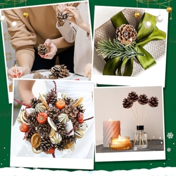 SBYURE Natural Pinecones 20 Pack for Crafts Home Decor