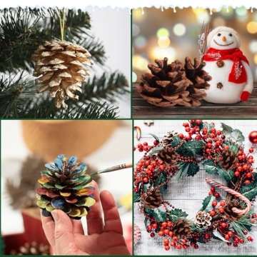 SBYURE Natural Pinecones 20 Pack for Crafts Home Decor