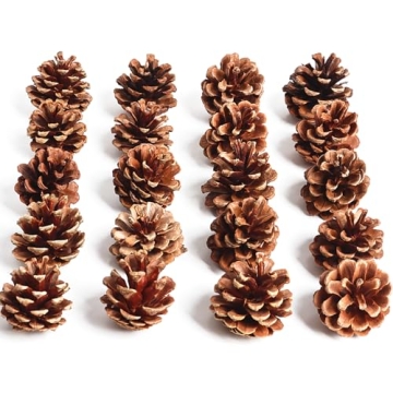 SBYURE Natural Pinecones 20 Pack for Crafts Home Decor