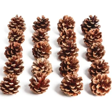 SBYURE Natural Pinecones 20 Pack for Crafts Home Decor