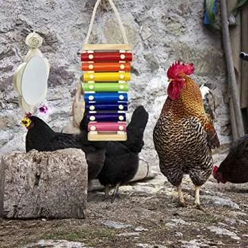 EBaokuup Chicken Toy Set for Fun and Enrichment