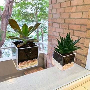 Kurraba Transparent Square Suction Cup Plant Pot