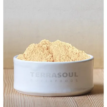 Terrasoul Superfoods Organic Gelatinized Maca Powder for Energy