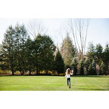 Tegu Magnetic Wooden Wheels for Endless Creative Play