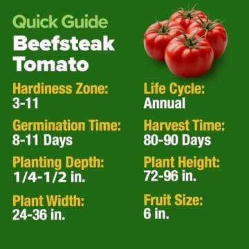 HOME GROWN Beefsteak Tomato Seed Pack - 300 Heirloom Tomato Seeds for Planting Outdoors – High-Yie...