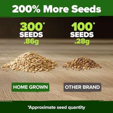 HOME GROWN 300 Beefsteak Tomato Seeds - Non-GMO Heirloom