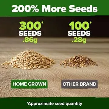 HOME GROWN 300 Beefsteak Tomato Seeds - Non-GMO Heirloom