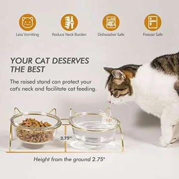 Qucey Cat Food and Water Bowls Set, Raised Cat Bowls for Food and Water, Elevated Pet Glass Bowls wi...