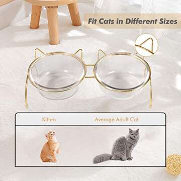 Qucey Cat Food and Water Bowls Set, Raised Cat Bowls for Food and Water, Elevated Pet Glass Bowls with Stand, 17 oz Cats and Dogs Bowl, Dishwasher Safe