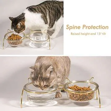 Qucey Cat Food and Water Bowls Set, Raised Cat Bowls for Food and Water, Elevated Pet Glass Bowls with Stand, 17 oz Cats and Dogs Bowl, Dishwasher Safe