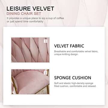 Nrizc Velvet Dining Chairs Set of 6 - Stylish Comfort and Elegance