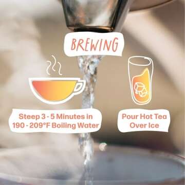 Kubo Tea, Peach Mango Black Iced Tea, Organic High Caffeine Tea, 20 Servings (155mg Caffeine each), Pillow Tea Bags, Compostable Packaging, Healthy Coffee Substitute