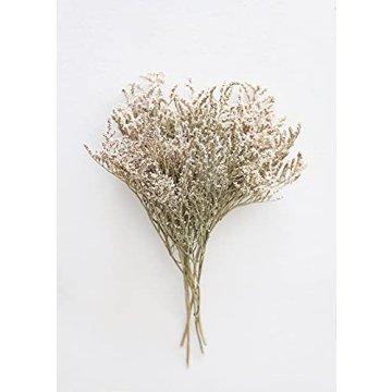 Lasting Preserved German Statice - Home Decor Flower