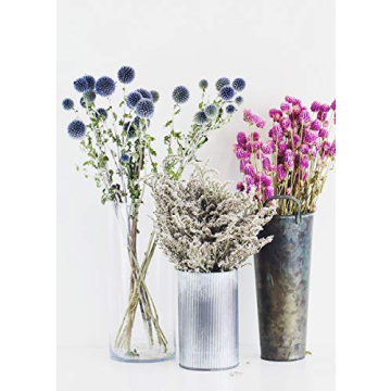 Lasting Preserved German Statice - Home Decor Flower