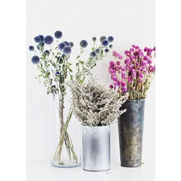 Lasting Preserved German Statice - Home Decor Flower