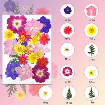 Mukum 63pcs Dried Flowers for Resin Real Dried Pressed Flowers Leaves Pressed Herbs kit with Tweezers for DIY Resin Craft, Scrapbooking Supplies, Nail Art, Floral Decors, Soap Making, Candle Making