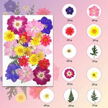 Mukum 63pcs Dried Flowers for Resin Real Dried Pressed Flowers Leaves Pressed Herbs kit with Tweezers for DIY Resin Craft, Scrapbooking Supplies, Nail Art, Floral Decors, Soap Making, Candle Making