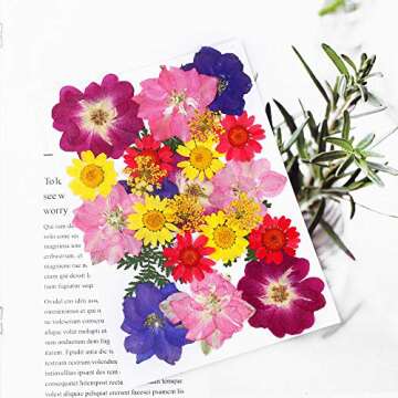 Mukum 63pcs Dried Flowers for Resin Real Dried Pressed Flowers Leaves Pressed Herbs kit with Tweezers for DIY Resin Craft, Scrapbooking Supplies, Nail Art, Floral Decors, Soap Making, Candle Making