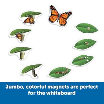 Learning Resources Butterfly Life Cycle, 9 Write and Wipe Pieces, Classroom Accessories, Teaching Ai...