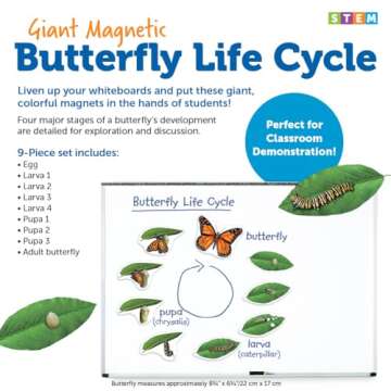 Learning Resources Butterfly Life Cycle, 9 Write and Wipe Pieces, Classroom Accessories, Teaching Aids