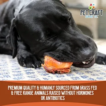 Buffalo Knee Caps for Dogs – All-Natural Long-Lasting Chews