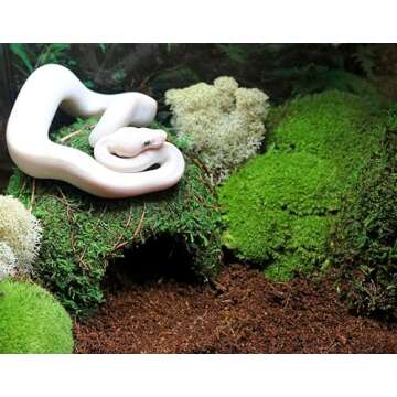 Durable Galápagos Mossy Cave Hide for Reptiles and Amphibians