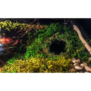 Durable Galápagos Mossy Cave Hide for Reptiles and Amphibians