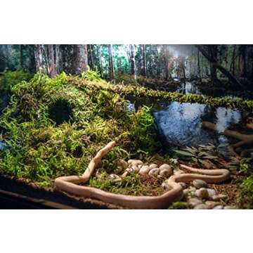 Durable Galápagos Mossy Cave Hide for Reptiles and Amphibians