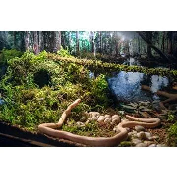 Durable Galápagos Mossy Cave Hide for Reptiles and Amphibians