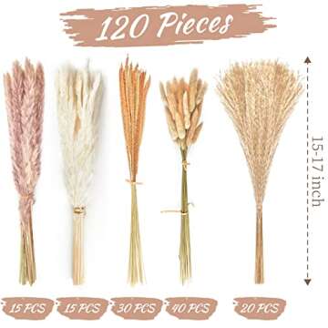 CLUEWR 120Pcs Natural Dried Pampas Grass Bouquet White and Brown Fluffy Pompas Grass Reed Bunny Tail...