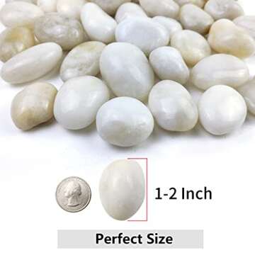 YISZM 5lbs White River Rocks, 1-2 Inch Natural Pebbles for Indoor Plants, High Polished Decorative S...