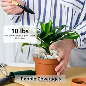 YISZM 5lbs White River Rocks - Decorative Stones for All Spaces