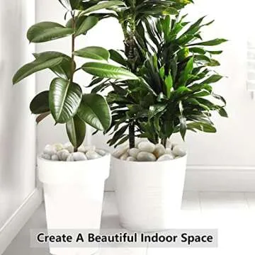 YISZM 5lbs White River Rocks - Decorative Stones for All Spaces