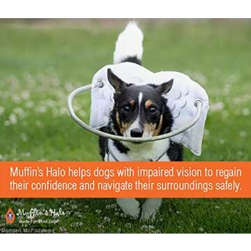 Muffin's Halo Guide for Blind Dogs with Angel Wings