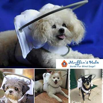 Muffin's Halo Guide for Blind Dogs with Angel Wings