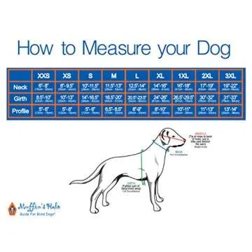 Muffin's Halo Guide for Blind Dogs with Angel Wings