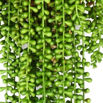 HANDIC 3pack Artificial String of Pearls Faux Succulents