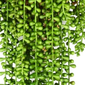 HANDIC 3pack Artificial String of Pearls Faux Succulents