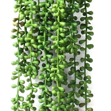 HANDIC 3pack Artificial String of Pearls Faux Succulents